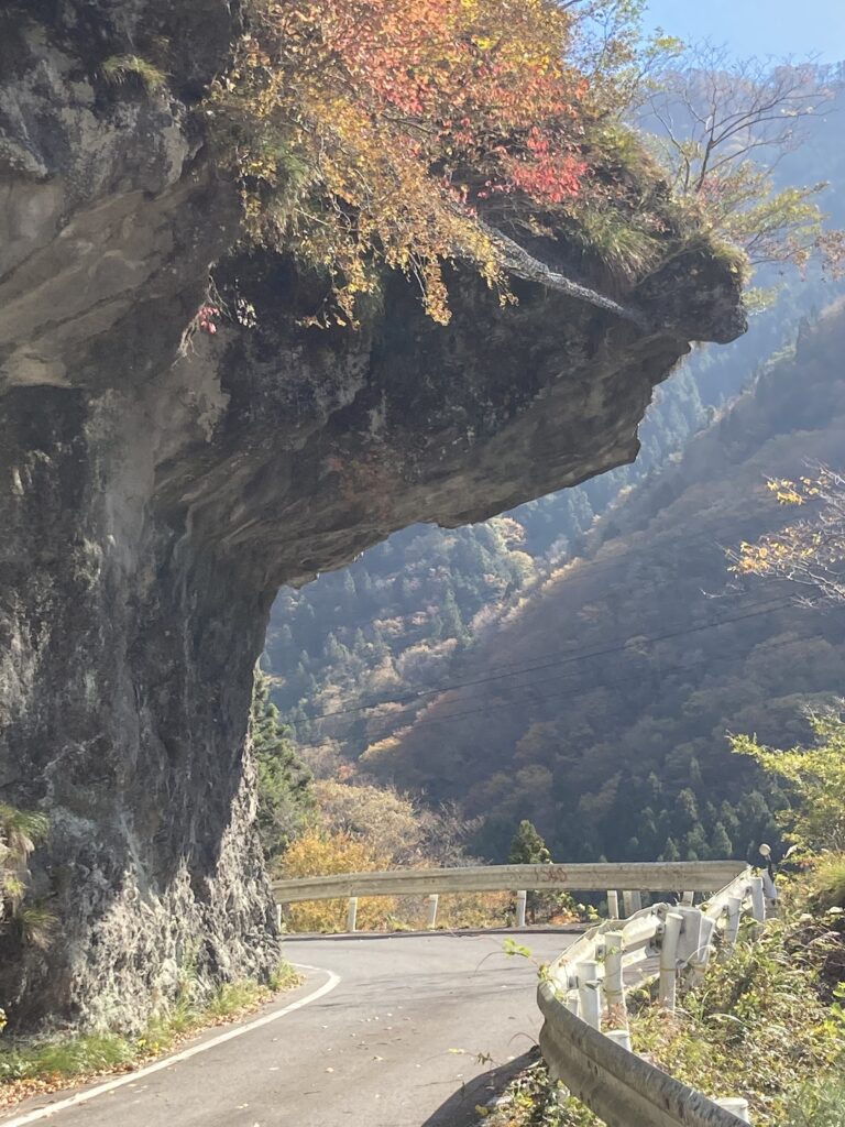 祖谷の観光サイト/龍宮崖公園/マンプ