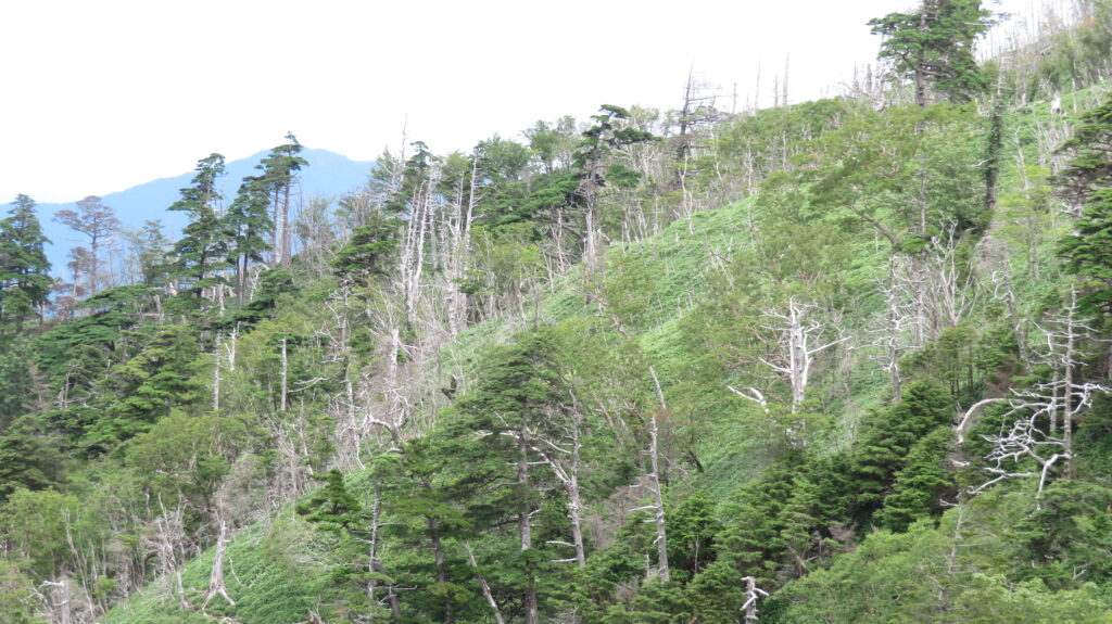 祖谷の観光サイト/剣山