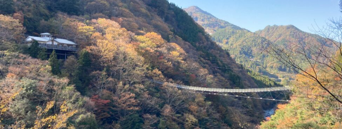 祖谷の観光サイト/龍宮崖公園/龍宮崖コテージ