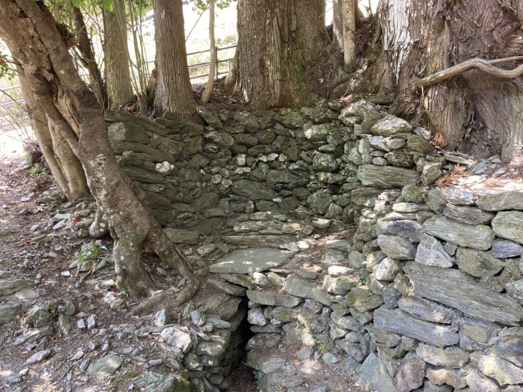 阿佐家住宅/紫の泉