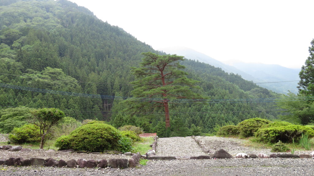 阿佐家住宅/赤松