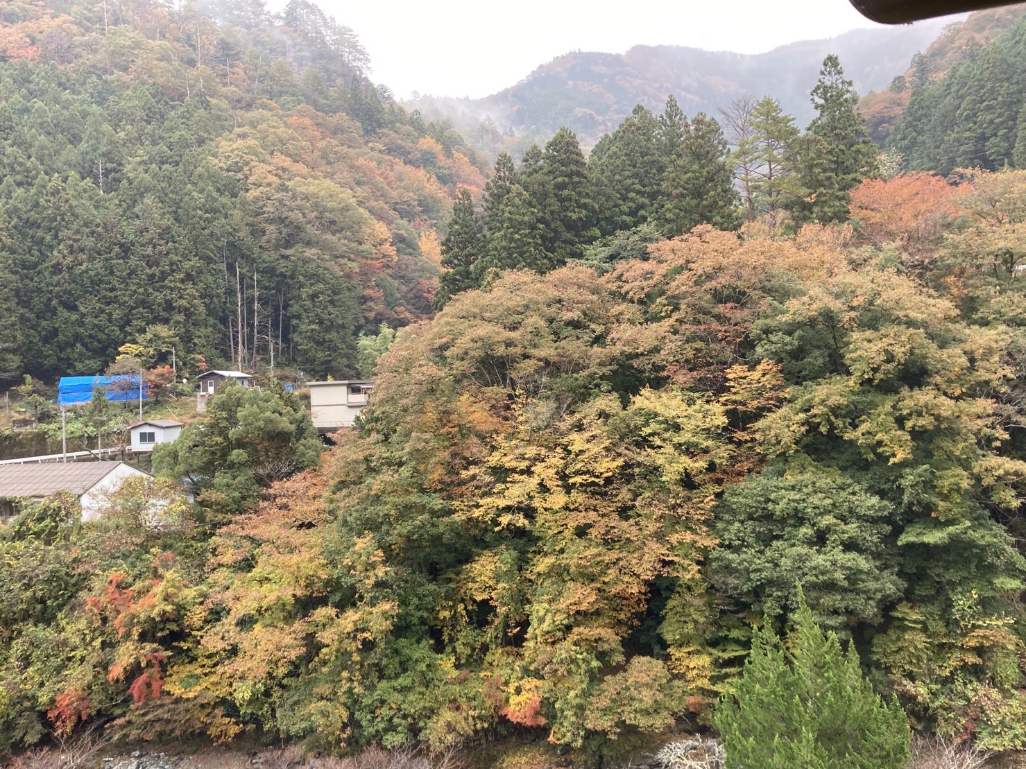 祖谷の風景/紅葉