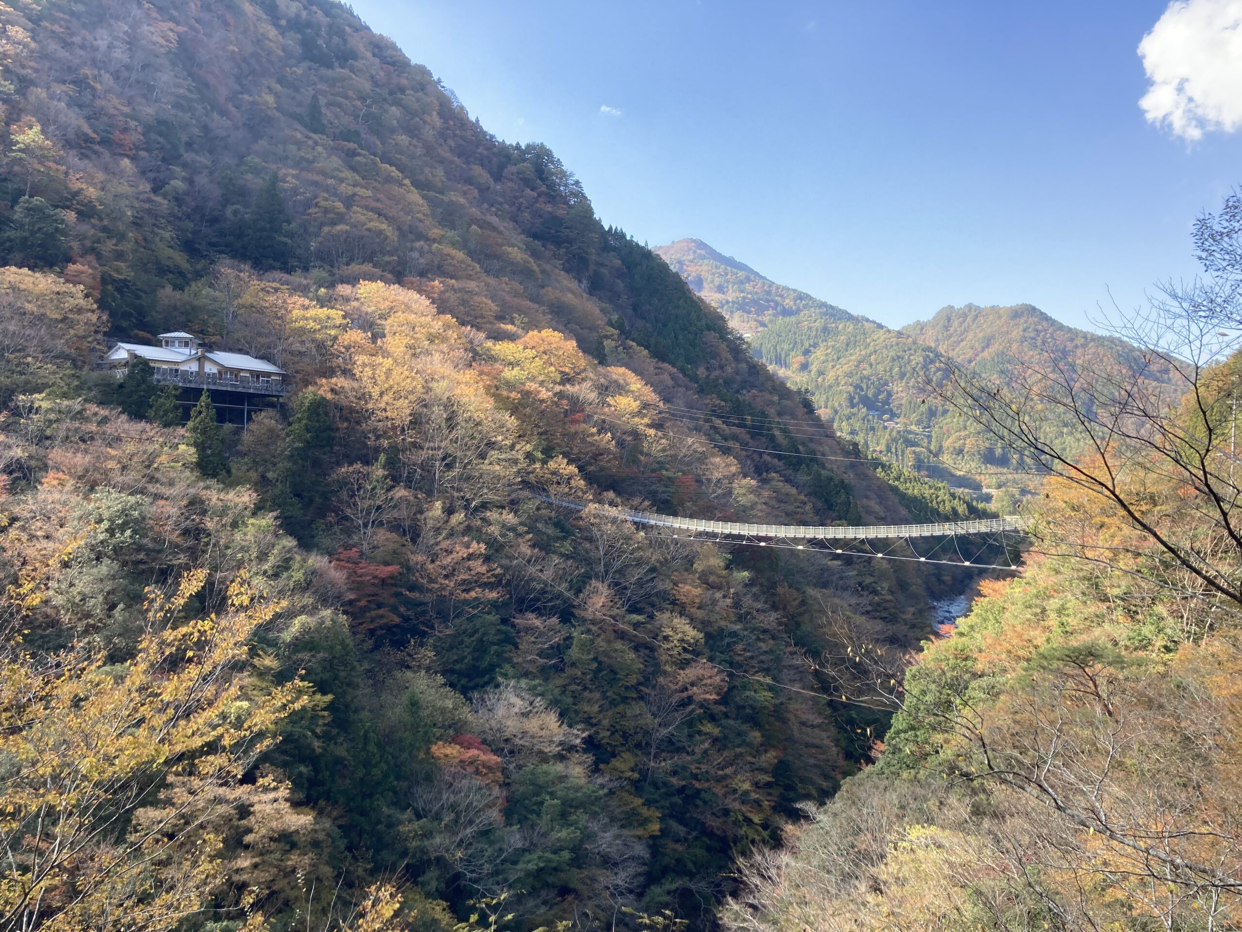 祖谷の風景/紅葉/龍宮崖公園