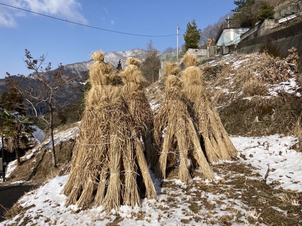屋根用のコエグロ