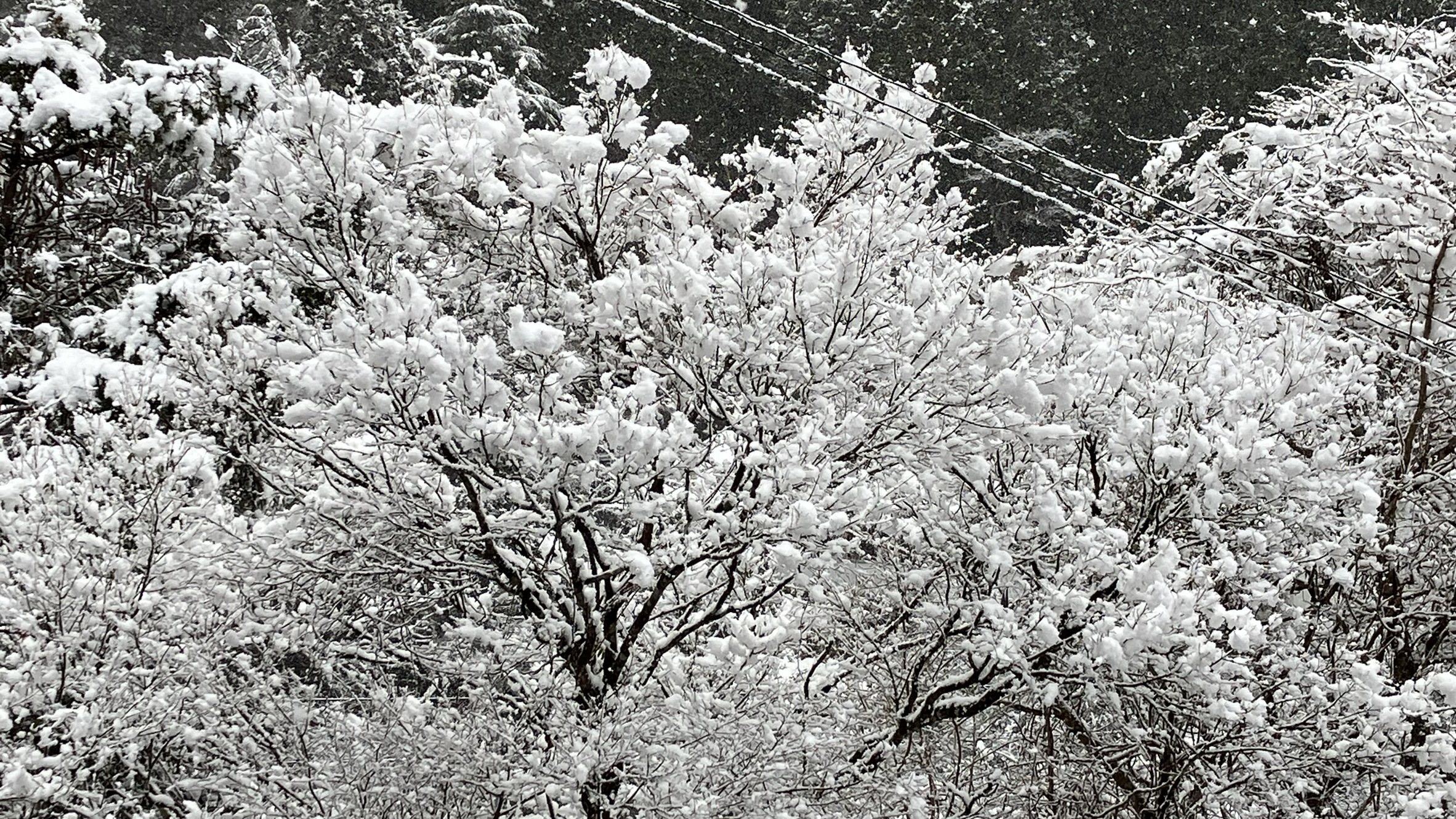 祖谷の風景/雪景色