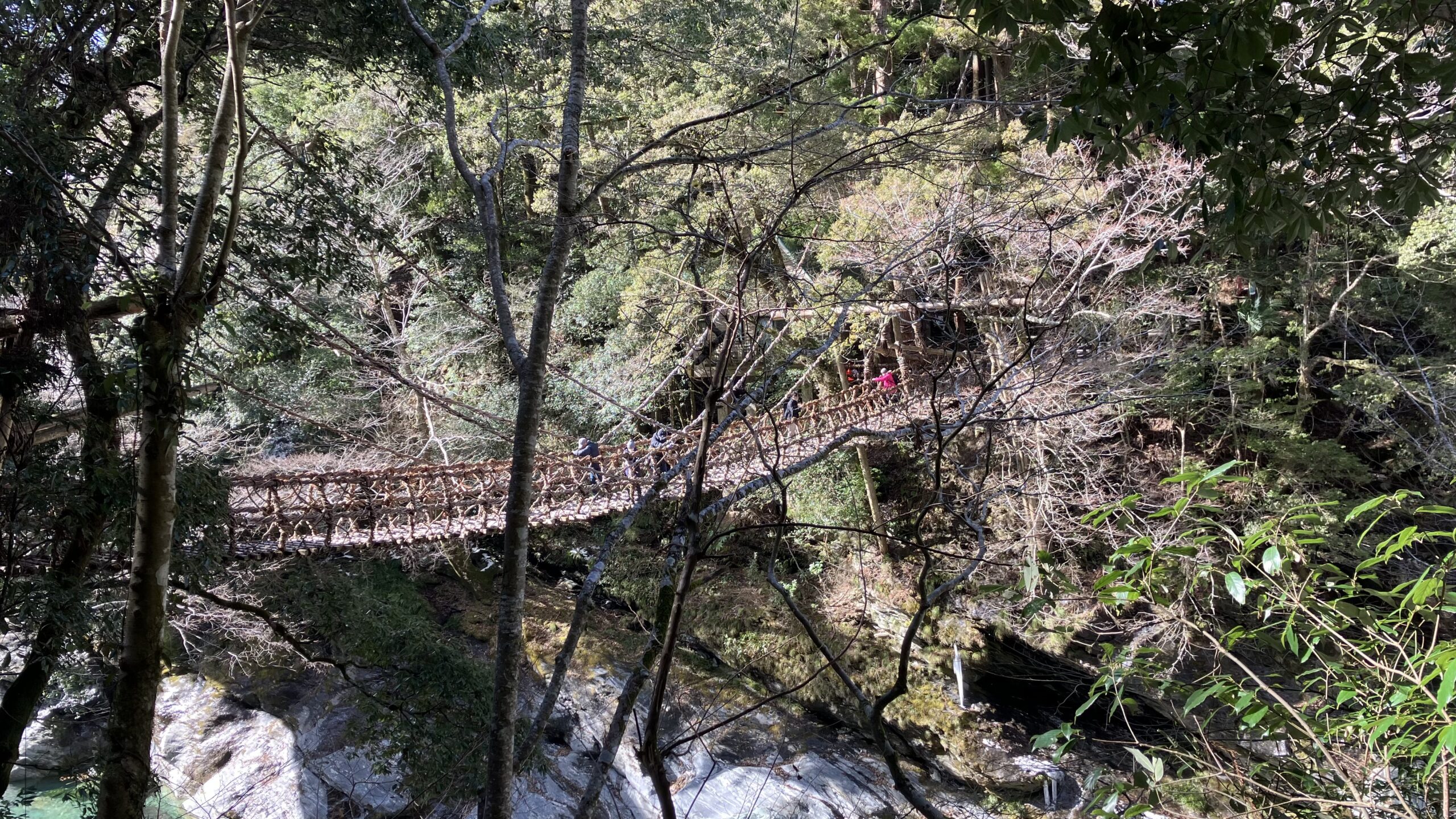 祖谷のかずら橋
