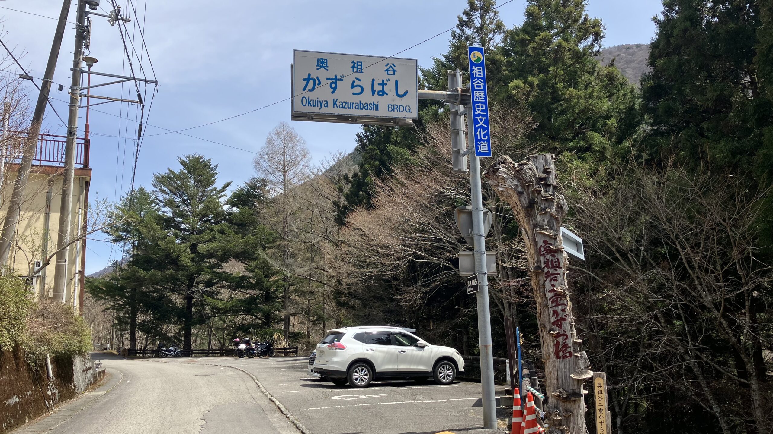 奥祖谷二重かずら橋
