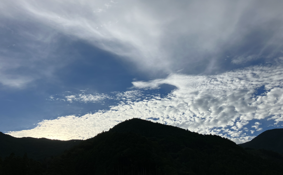車庫上からの風景