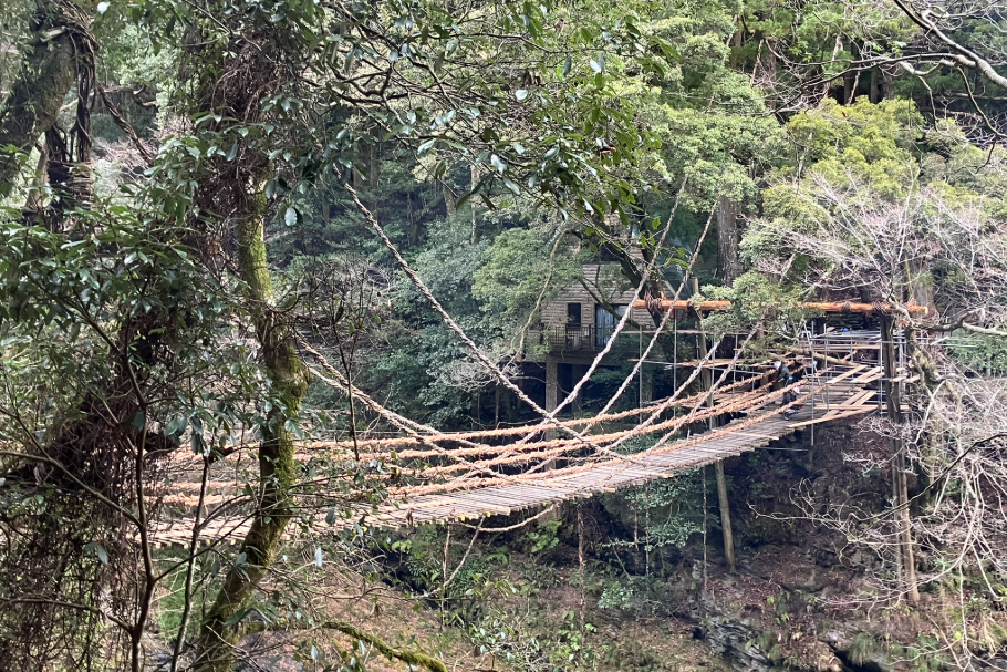 祖谷のかずら橋