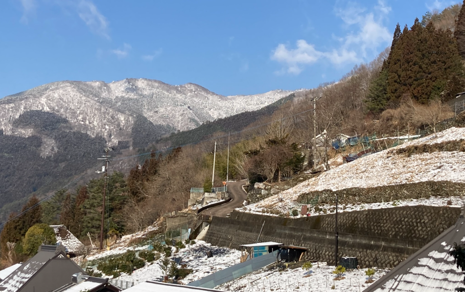 祖谷の傾斜地集落