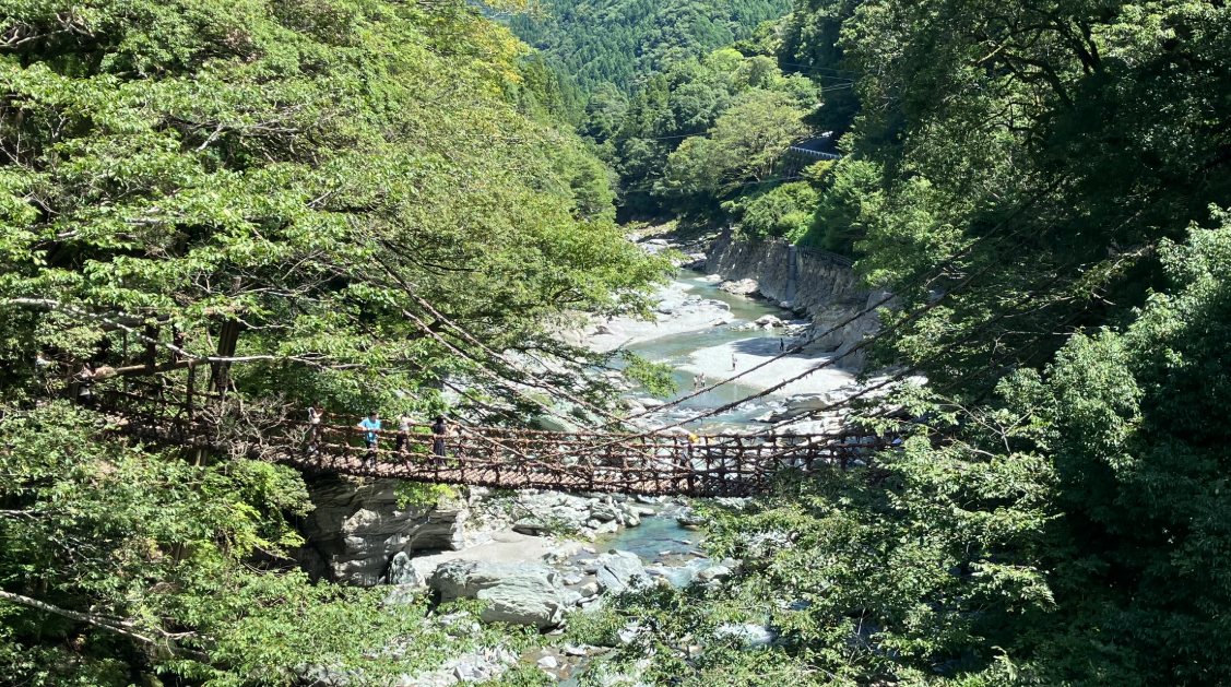 祖谷のかずら橋