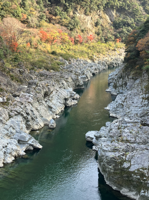大歩危の観光サイト/大歩危の紅葉