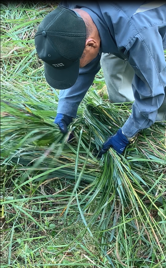 祖谷の風景/コエグロ作り