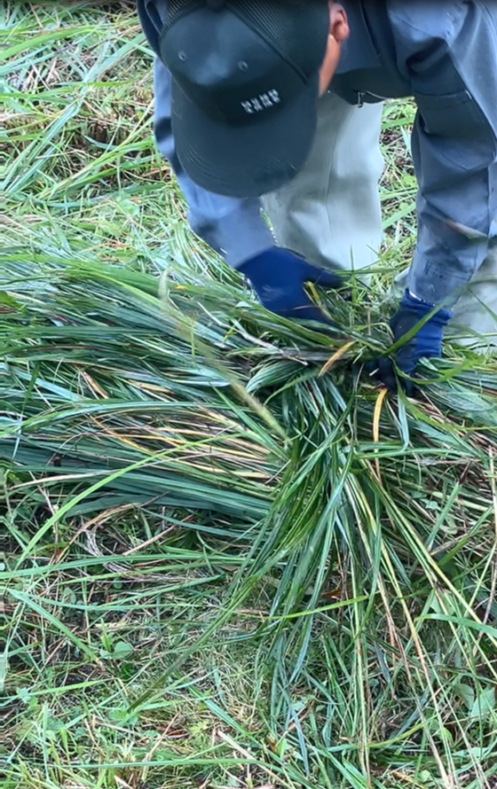 祖谷の風景/コエグロ作り