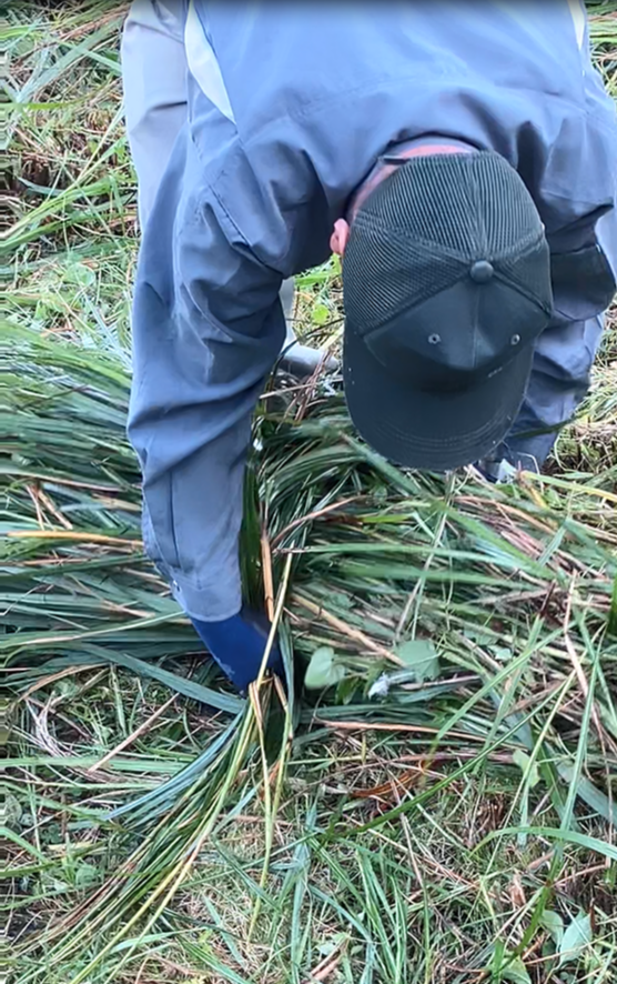 祖谷の風景/コエグロ作り