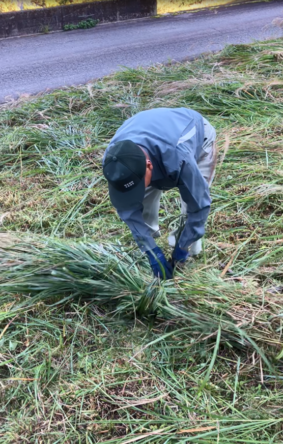 祖谷の風景/コエグロ作り