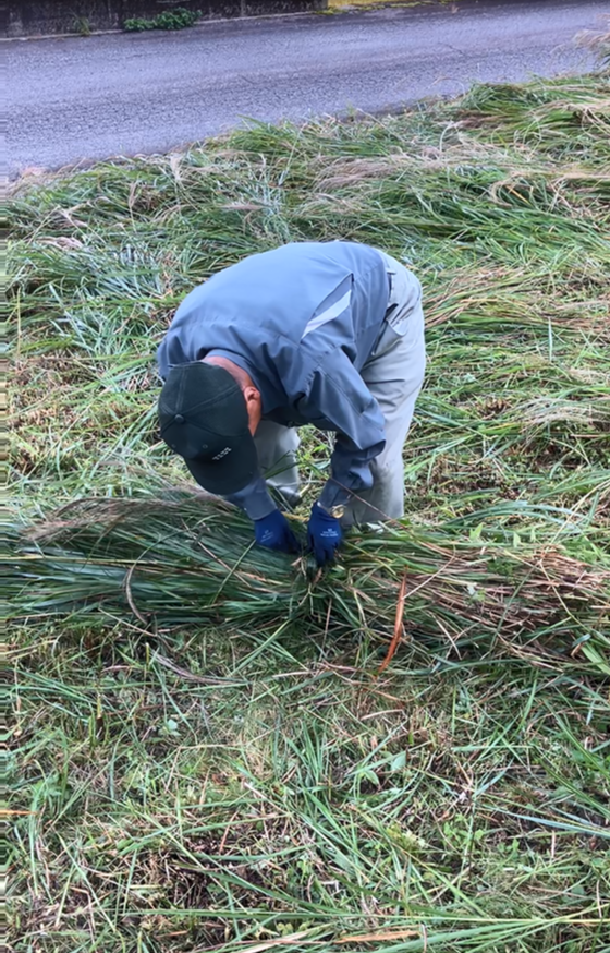 祖谷の風景/コエグロ作り