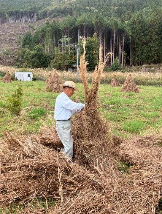祖谷の風景/コエグロ作り