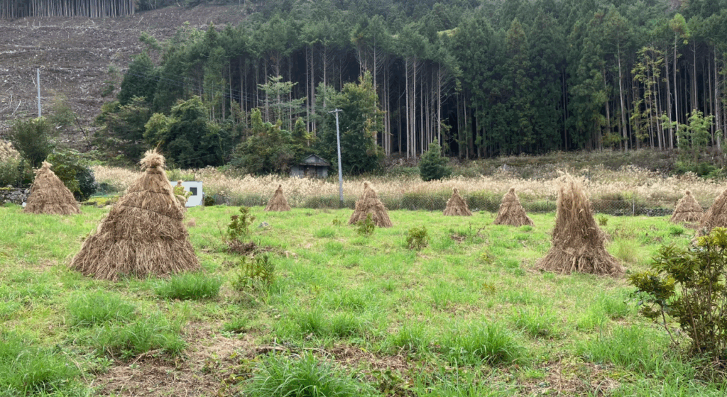 祖谷の風景/コエグロ