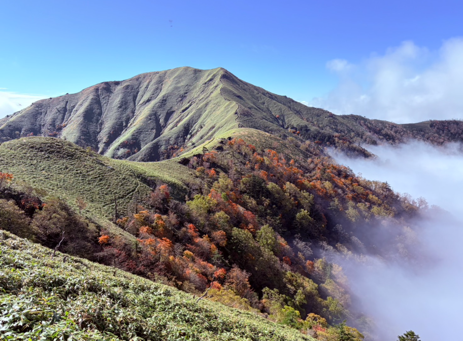祖谷の観光/剣山/紅葉