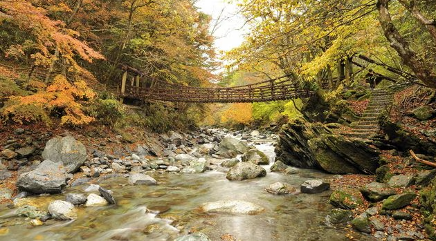 奥祖谷二重かずら橋