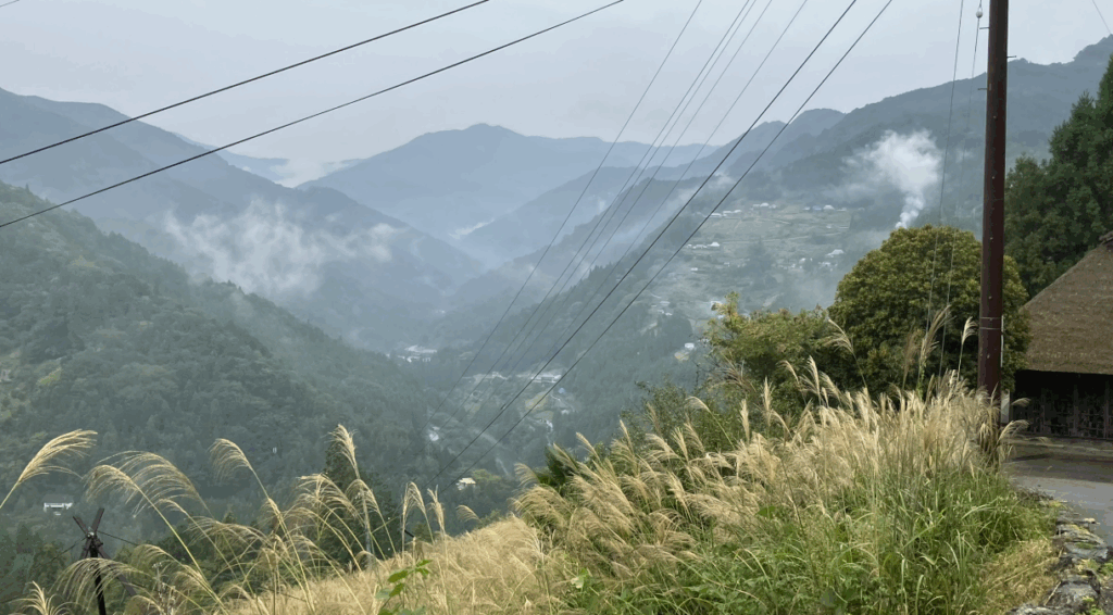 祖谷の風景/ススキと山霧