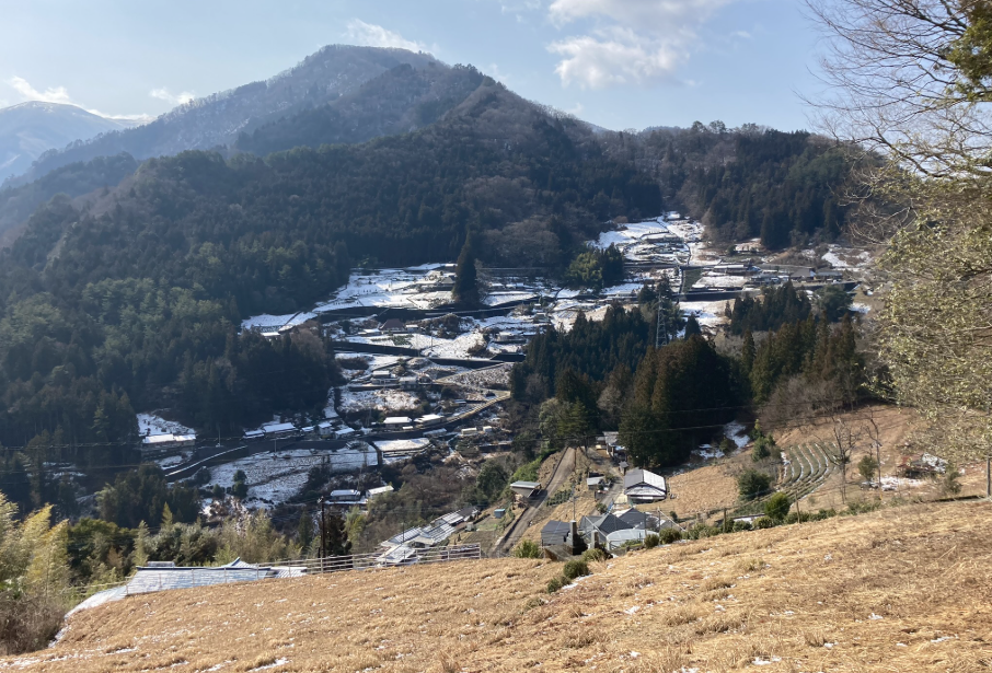 祖谷の観光サイト/落合から見た中上