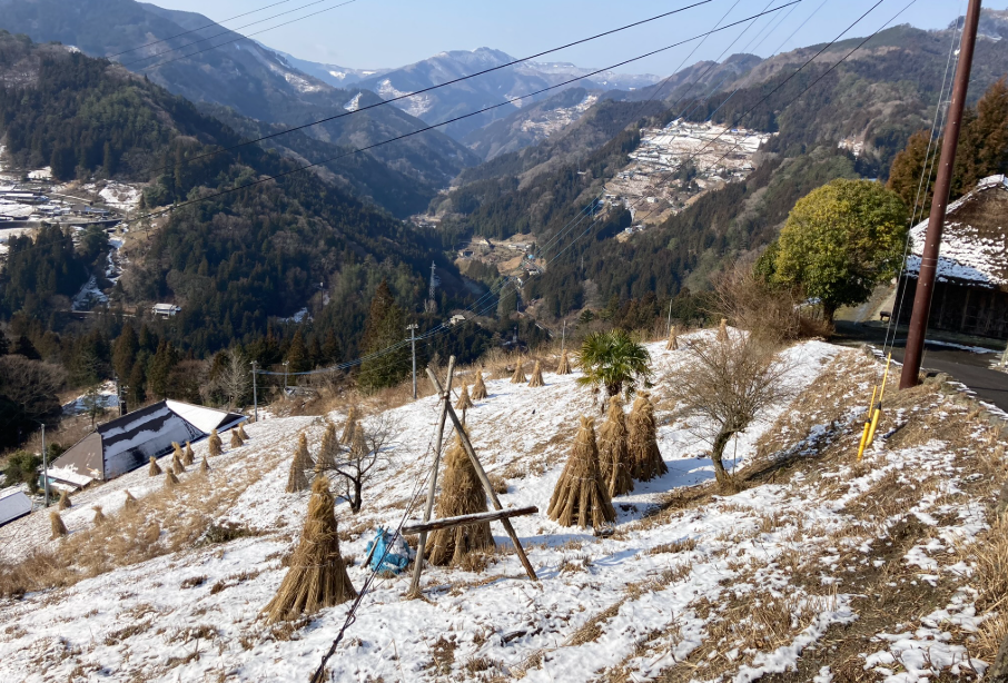 祖谷の観光/落合集落/コエグロのある風景