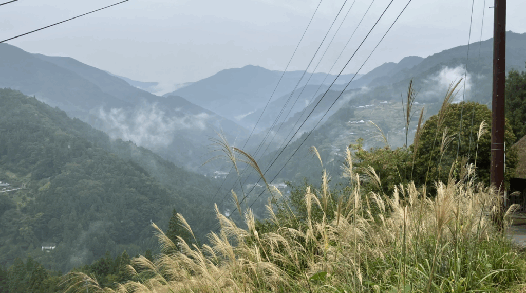 祖谷の観光/落合集落/ススキのある風景