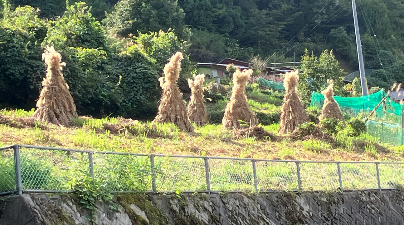 祖谷の風景/コエグロ