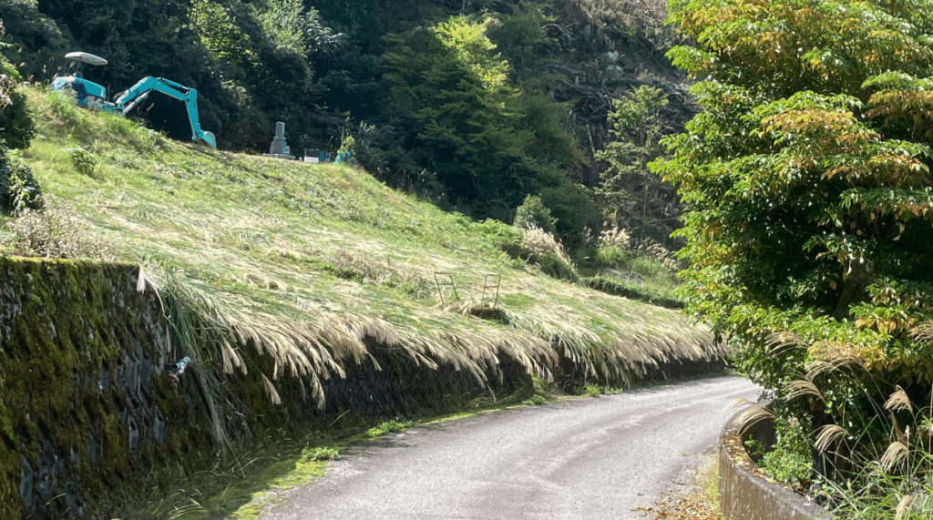 祖谷の風景/茅刈り後