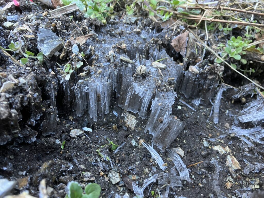 祖谷の観光/冬の祖谷/霜柱