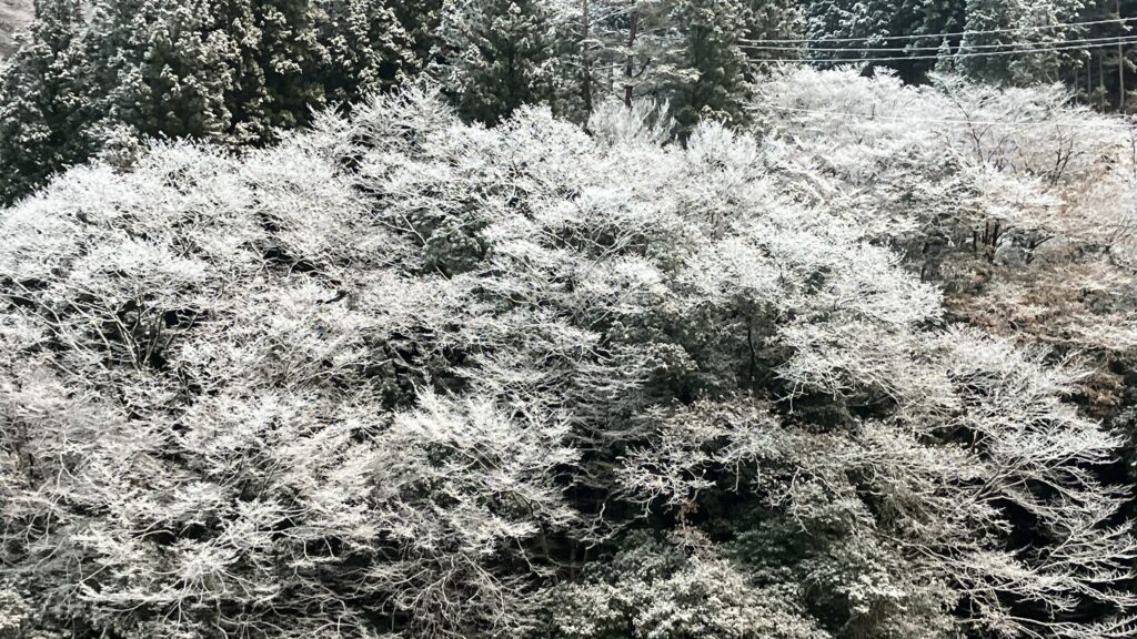 祖谷の観光/冬の祖谷/雪景色