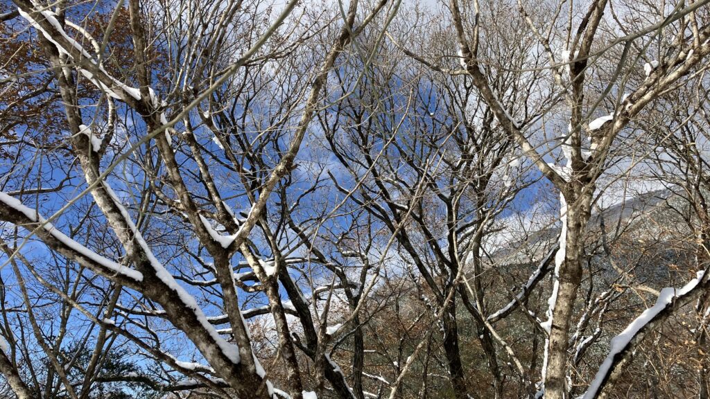 祖谷の観光/冬の祖谷/雪景色