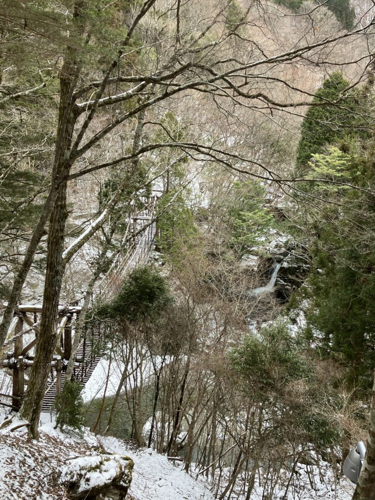 祖谷の観光サイト/雪の奥祖谷二重かずら橋