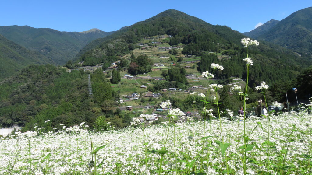 祖谷の観光サイト/落合集落展望所