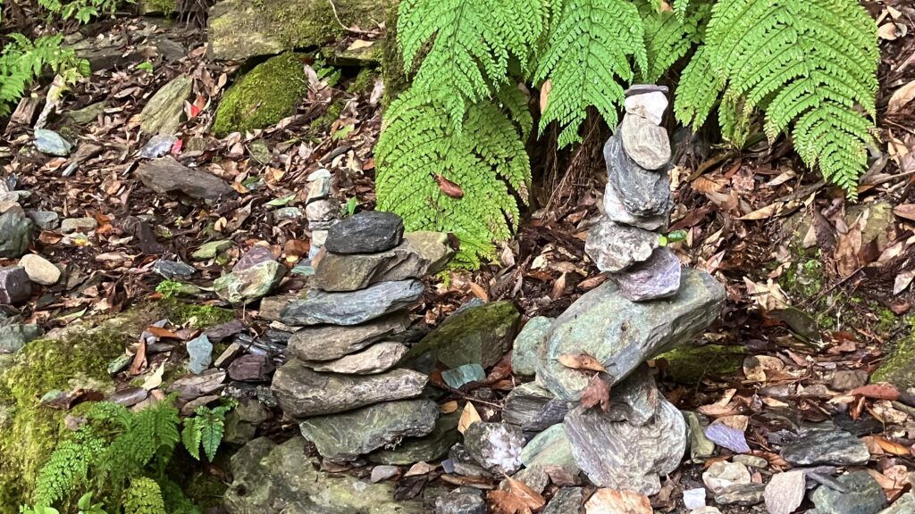 祖谷の鉱物/紅簾石片岩