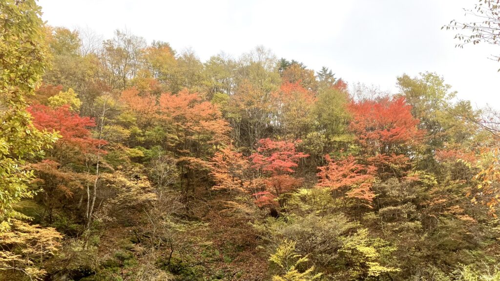 祖谷の観光サイト/落合峠/紅葉