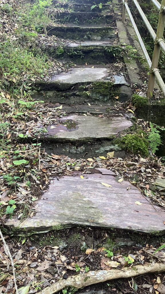 祖谷の鉱物/紅簾石片岩