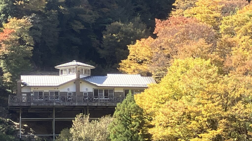 祖谷の観光サイト/龍宮崖公園/紅葉