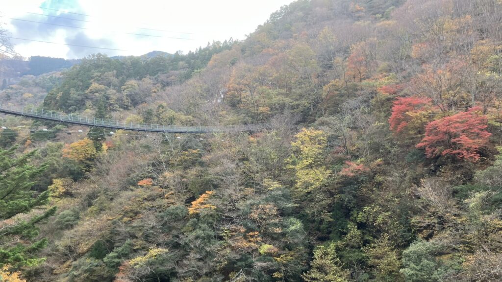 祖谷の観光サイト/龍宮崖公園/紅葉