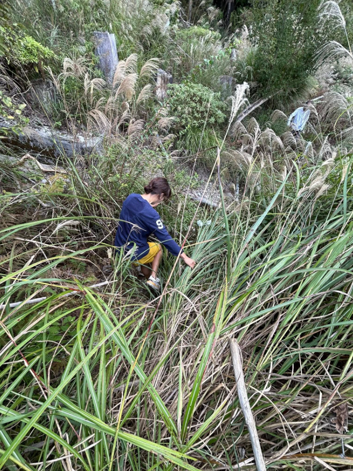 恒例イベント/東祖谷ジャーニーラン