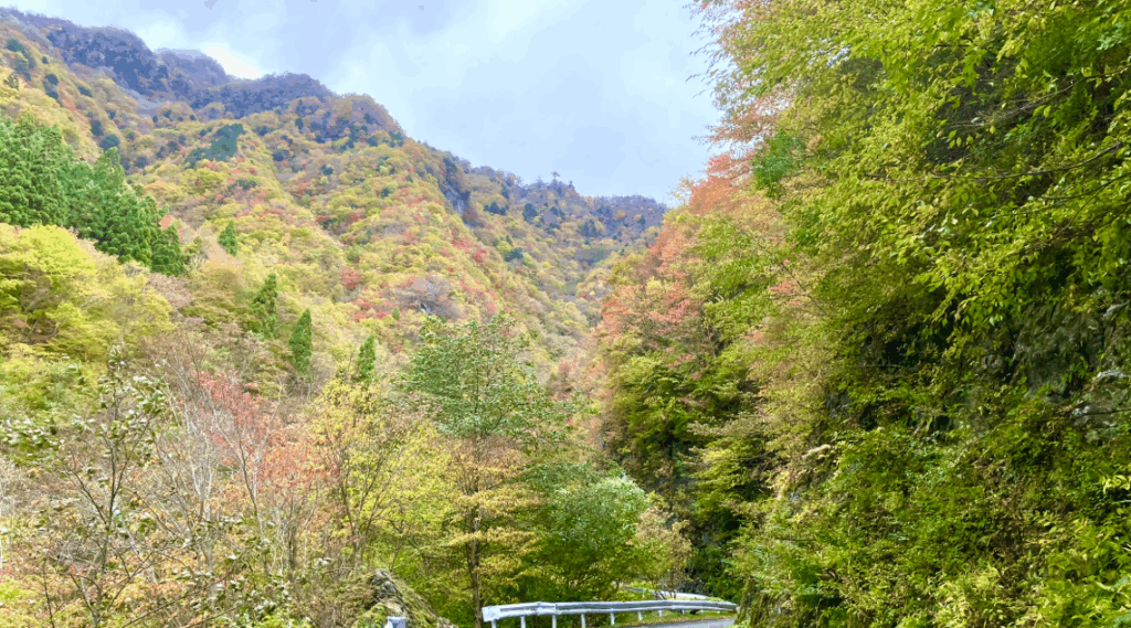 祖谷の観光/落合峠/紅葉
