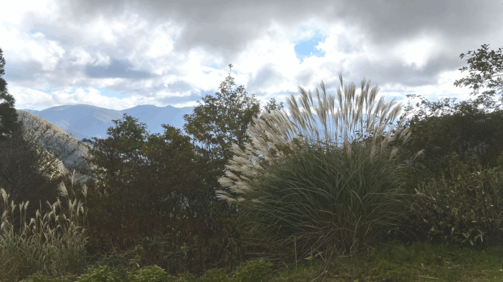 祖谷の観光/落合峠