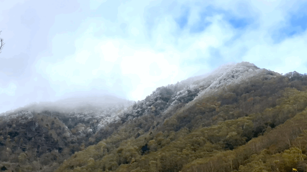 祖谷の観光/落合峠