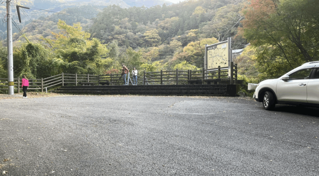 祖谷の観光サイト/龍宮崖公園