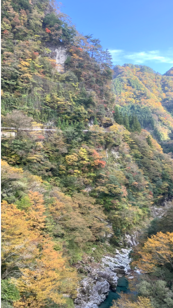 祖谷の観光サイト/龍宮崖公園