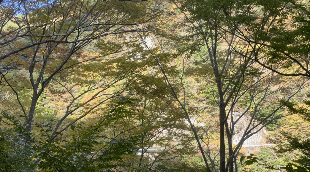 祖谷の観光サイト/龍宮崖公園