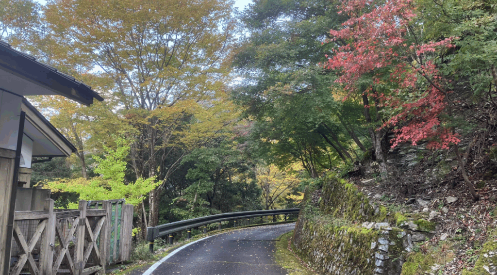 祖谷の観光サイト/龍宮崖公園