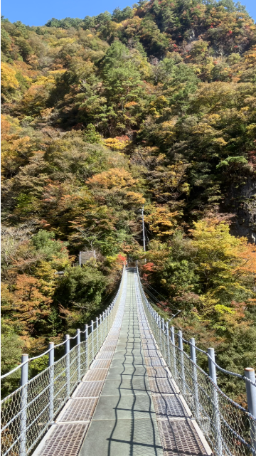 祖谷の観光サイト/龍宮崖公園